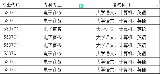 2024年四川专升本电子商务对口本科专业(图2)